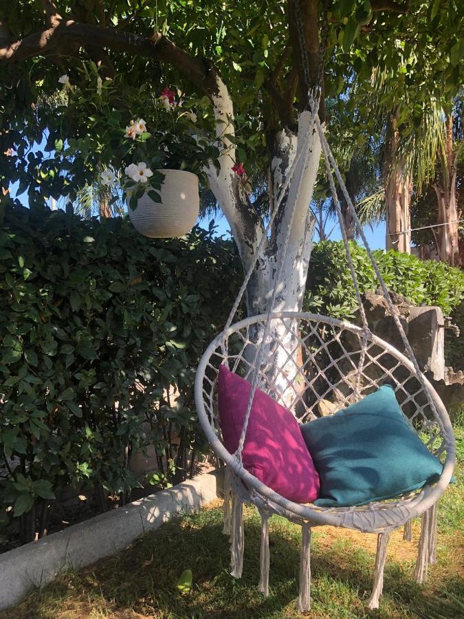 B&B Green Oasis Pompei Exterior photo
